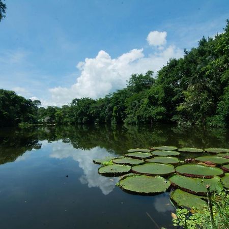 Los Chocuacos. Guácimo Dış mekan fotoğraf