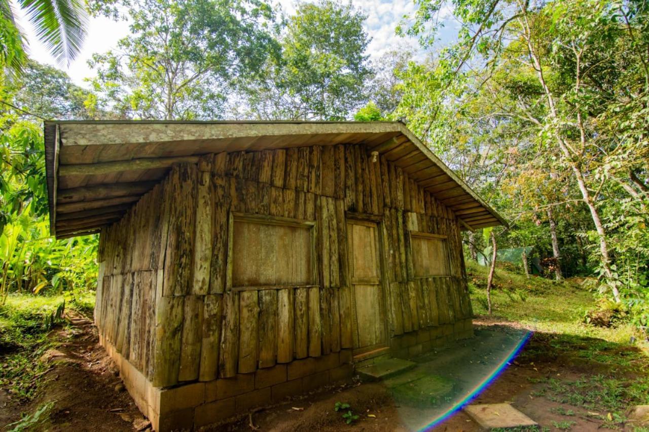 Los Chocuacos. Guácimo Dış mekan fotoğraf