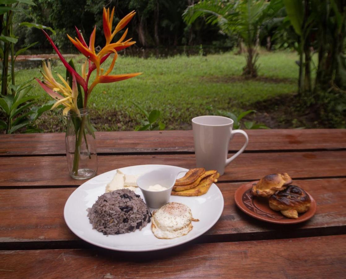 Los Chocuacos. Guácimo Dış mekan fotoğraf